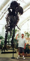T-Rex