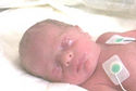 Tyler Evan D'Agostino Nov. 27, 2001
