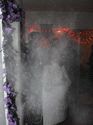 Anthrax Powder