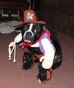 Rawhide Kid