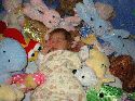 Where's Julie?