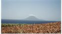 Nevis