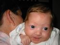 Little Cutie Pie