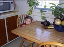 owen sitting at the table like a big boy