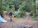 Camping at Turkey Pen Gap