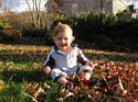Playing in the leaves