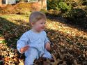 I love the leaves!