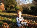 Lovin' the leaves