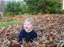 Burried in the pile