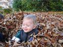 Really burried in the leaves!