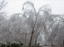 Winter Storm 2002