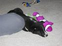 I'm pooped, it's been a long day!