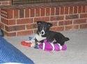 I love all my new toys, how fun!