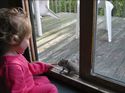 Julie and the Squirrel