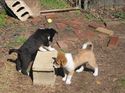 Oliver and his brother.