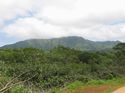 Hawaii 2003 - Kauai Waterfall Hiking
