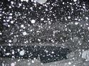 Winter Storm 2004