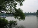 Camping at Wildlife Woods