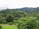 Costa Rica 2005 - Monte Verde