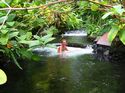 Costa Rica 2005 - Tabacon