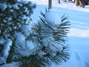 Wisconsin Winter 2006
